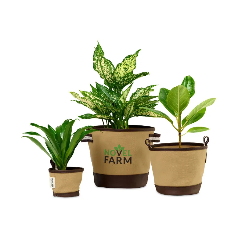 Heritage Supply Plant, Grow and Store Trio of Pots