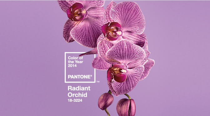 It’s Not Just Orchid, it’s Radiant Orchid: Pantone 2014 Color of the Year