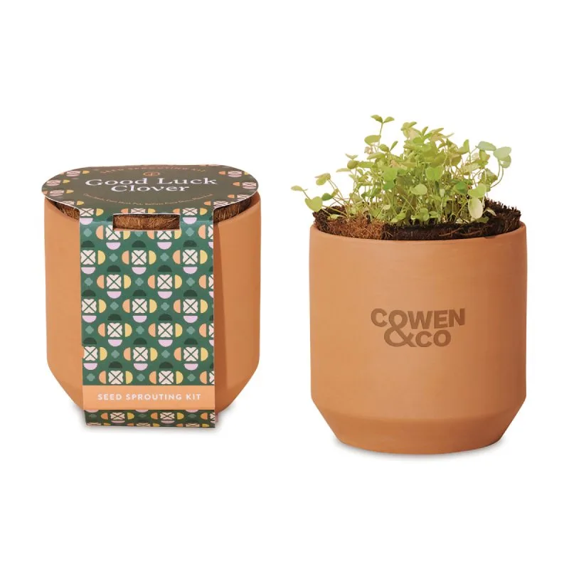 Terra cotta planter pot with sprouting herbs from Good Luck branded seed growing kit
