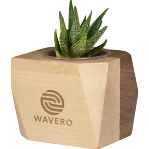 Natural wood geometric planter with live succulent plant and laser engraved custom branding